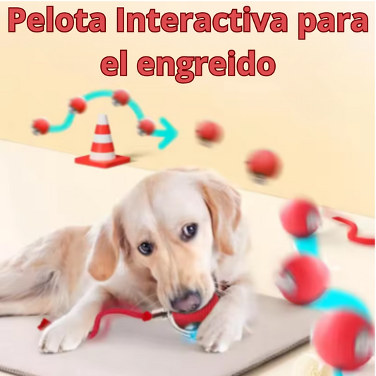 PELOTA JUGUETE INTERACTIVO  PARA GATOS Y PERROS